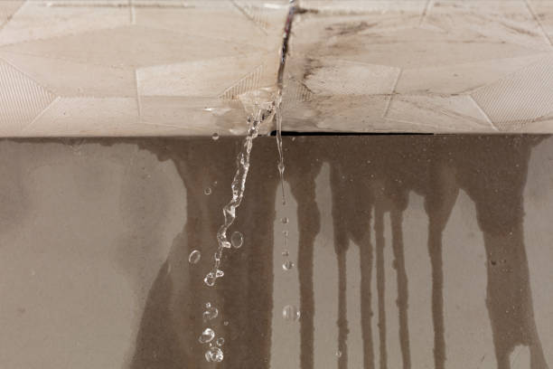 Professional Water Damage Repair technician working in Mineral Wells, TX